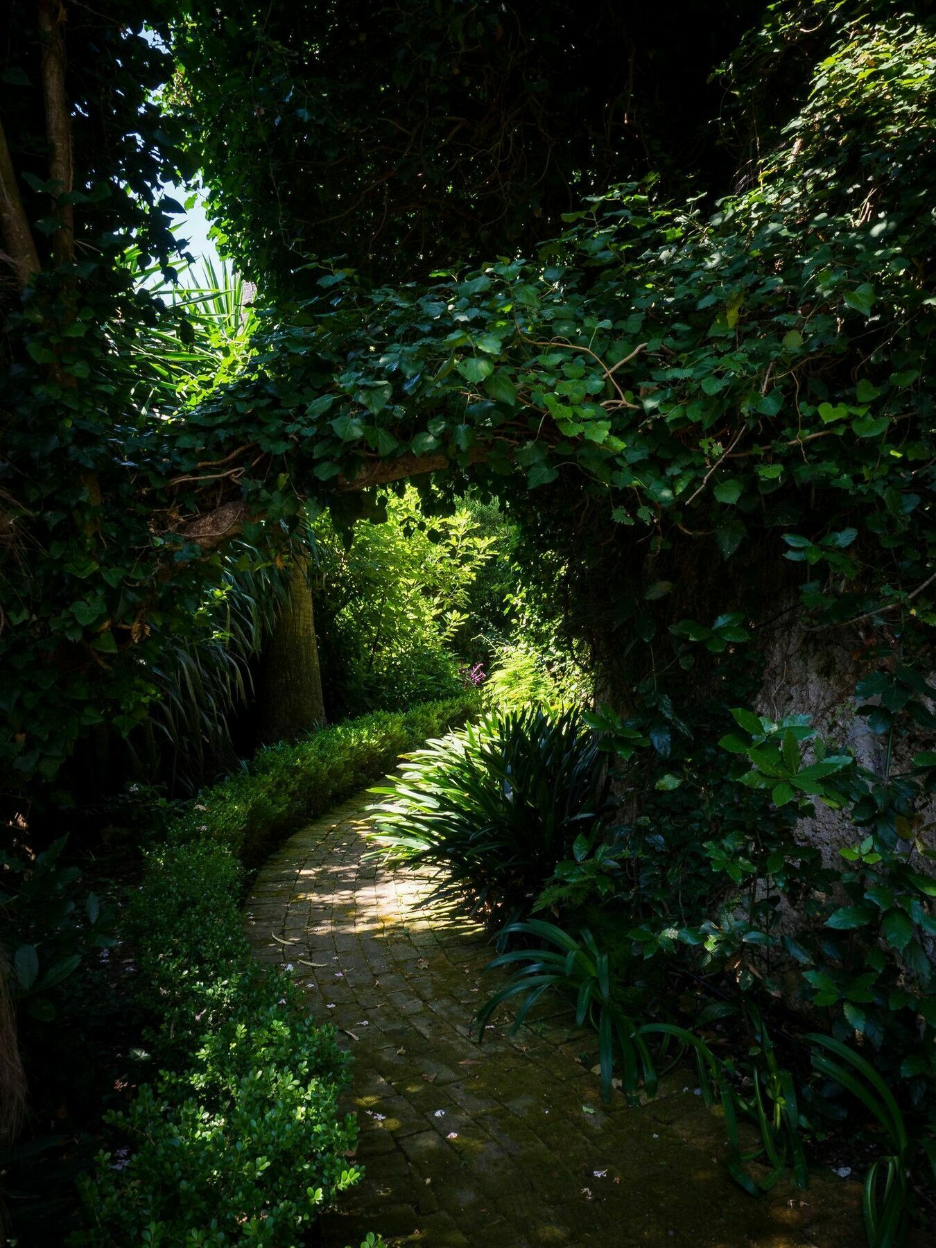 Villa Domenicale Agios Markos Exterior foto