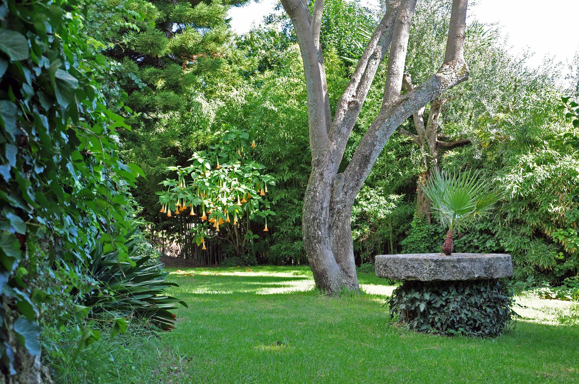 Villa Domenicale Agios Markos Exterior foto